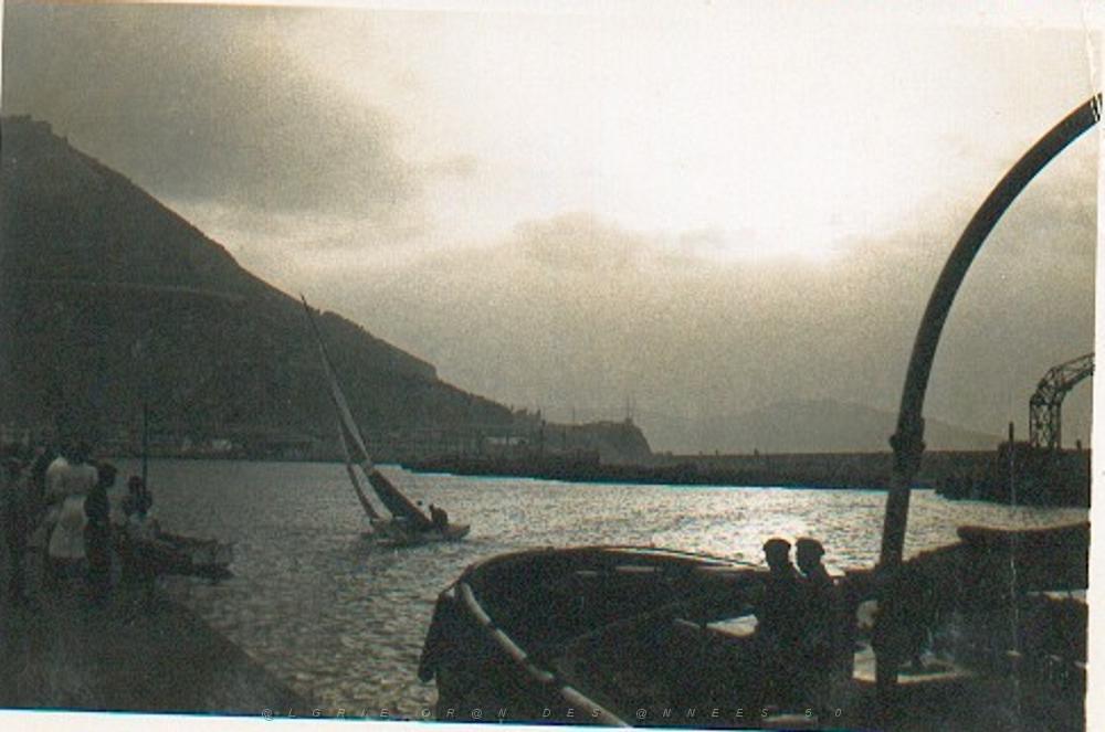 006.JPG