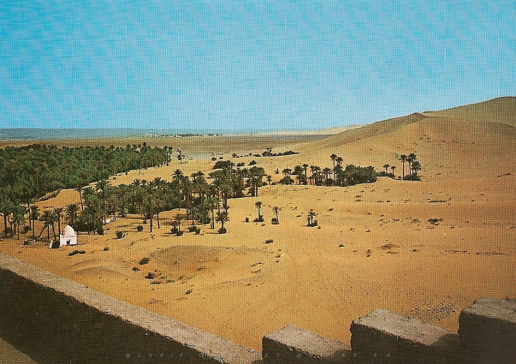 Sud-23-Taghit.jpg