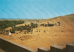 Sud-23-Taghit