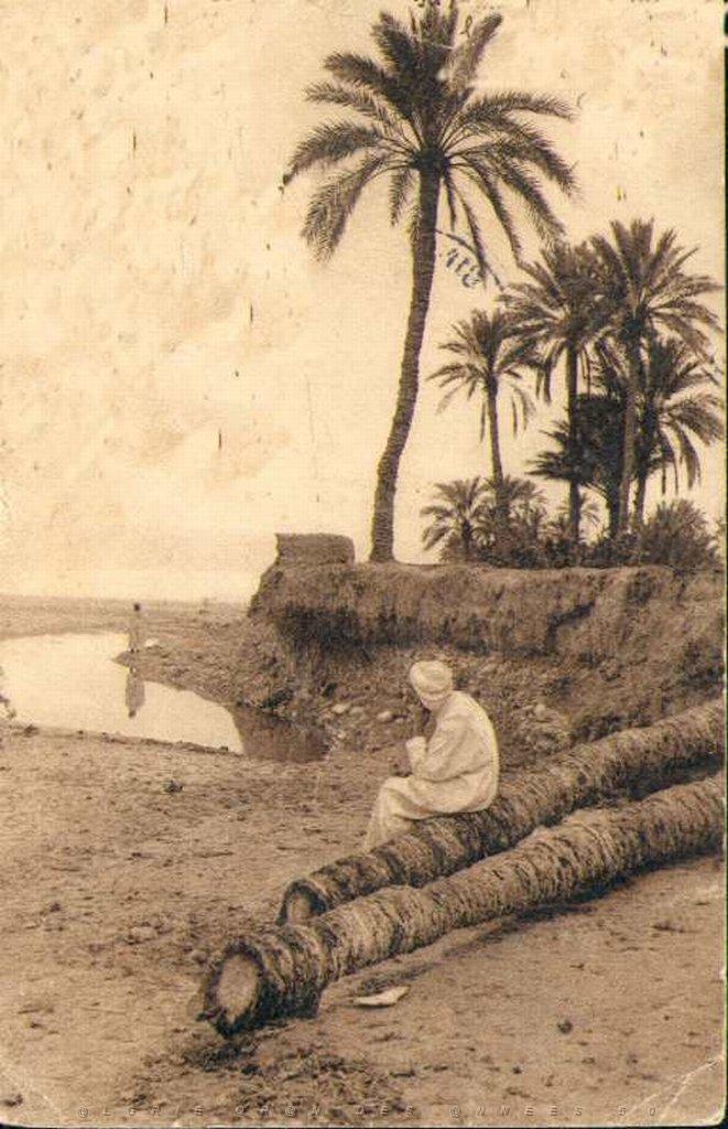 algerie_scene.jpg