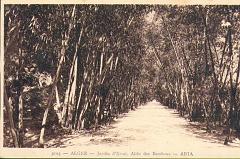 alger2_jardindessai