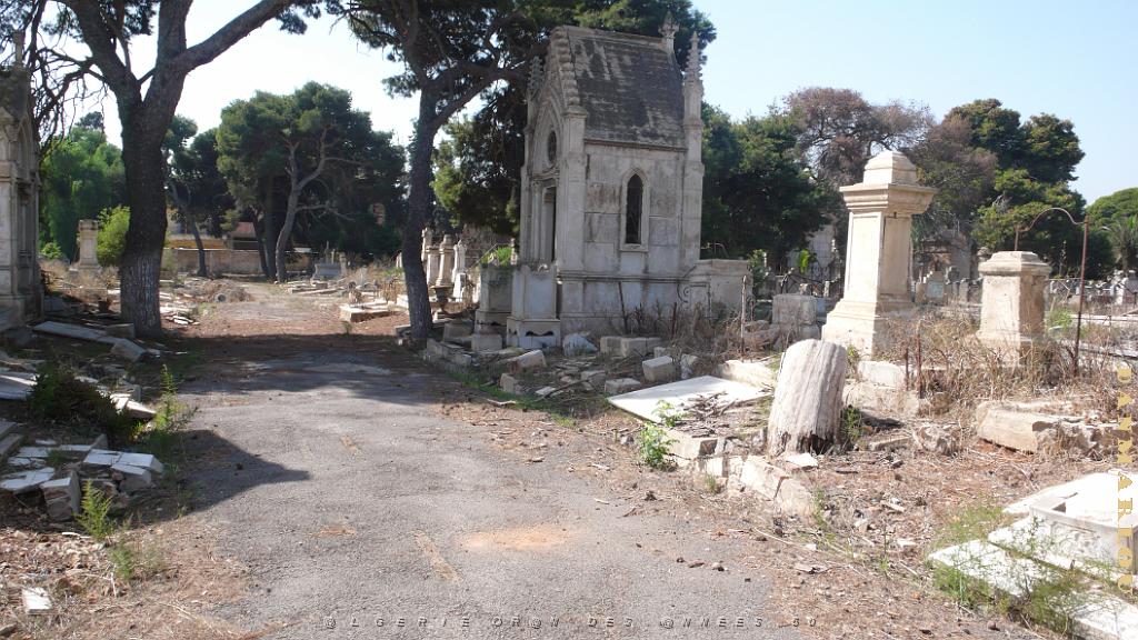 P1150436.JPG