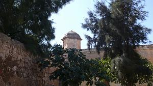 P1150456