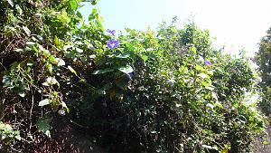 P1150463