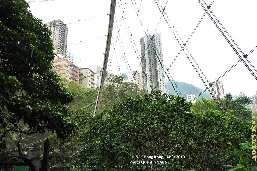 P1090887.JPG