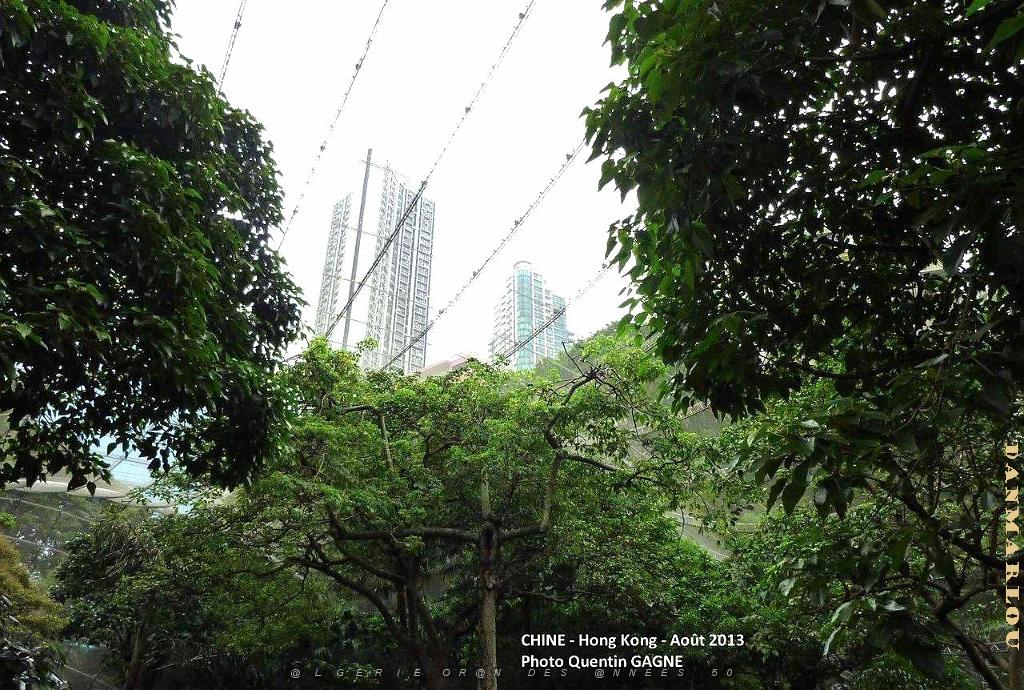 P1090888.JPG