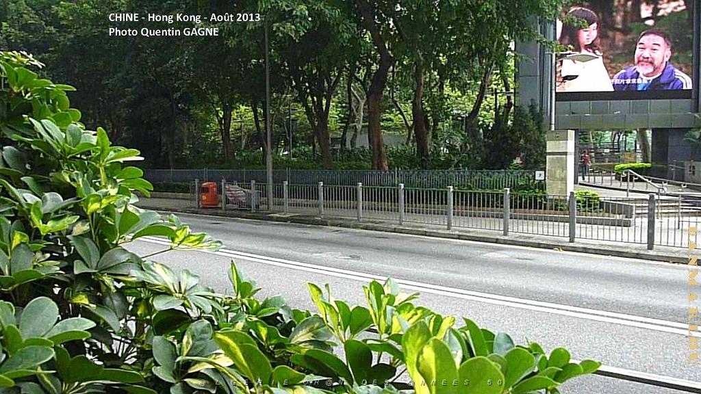 P1090960.JPG