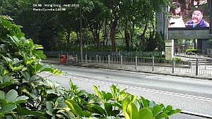 P1090960