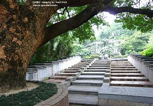 P1100058